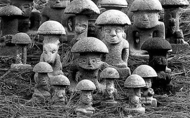 The Magical Mushroom Stones by Alexander Main – Shroom Circle BLOG